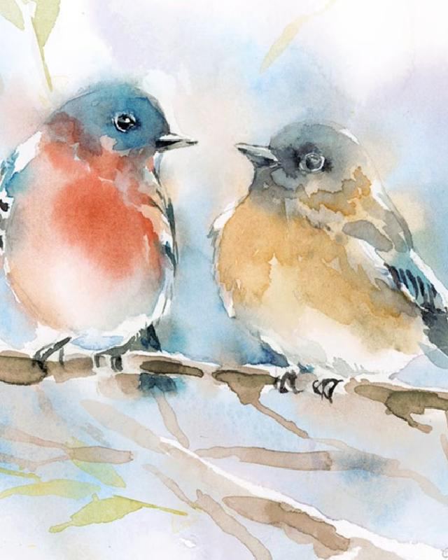 Birdies costume illustration